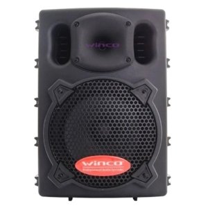 Parlante profesional 2.jpg